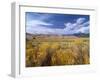 Great Sand Dunes National Monument-Guido Cozzi-Framed Photographic Print