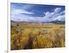 Great Sand Dunes National Monument-Guido Cozzi-Framed Photographic Print