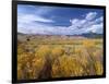 Great Sand Dunes National Monument-Guido Cozzi-Framed Photographic Print