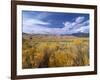 Great Sand Dunes National Monument-Guido Cozzi-Framed Photographic Print