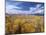 Great Sand Dunes National Monument-Guido Cozzi-Mounted Photographic Print