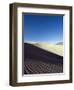 Great Sand Dunes National Park, Colorado, USA-Christian Kober-Framed Photographic Print