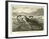 Great Sea-Reptiles of the Jurassic Period, Restored-null-Framed Giclee Print