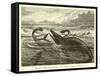 Great Sea-Reptiles of the Jurassic Period, Restored-null-Framed Stretched Canvas