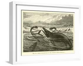 Great Sea-Reptiles of the Jurassic Period, Restored-null-Framed Giclee Print
