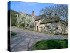 Great Seaside House, Branscombe, Devon-Peter Thompson-Stretched Canvas