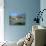 Great Seaside House, Branscombe, Devon-Peter Thompson-Photographic Print displayed on a wall