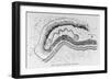 Great Serpent Mound, Locust Grove, Ohio, Narrative and Critical History of America-null-Framed Giclee Print