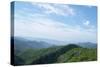 Great Smokies-Herb Dickinson-Stretched Canvas