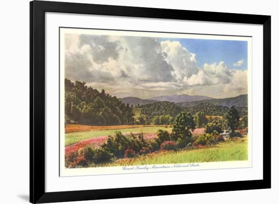 Great Smoky Mountain National Park-null-Framed Premium Giclee Print