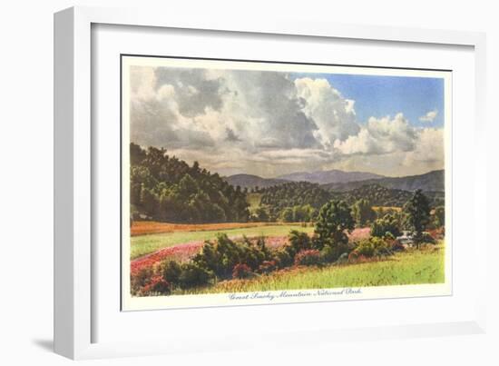 Great Smoky Mountain National Park-null-Framed Art Print