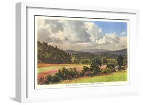 Great Smoky Mountain National Park-null-Framed Art Print