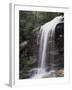 Great Smoky Mountains, a Waterfall Flows from the Forest-Christopher Talbot Frank-Framed Photographic Print