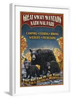 Great Smoky Mountains National Park - Black Bear-Lantern Press-Framed Art Print