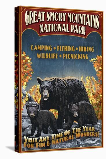 Great Smoky Mountains National Park - Black Bear-Lantern Press-Stretched Canvas