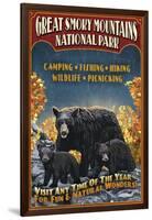 Great Smoky Mountains National Park - Black Bear-Lantern Press-Framed Art Print