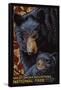 Great Smoky Mountains National Park - Black Bears - Mosaic-Lantern Press-Framed Stretched Canvas