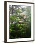 Great Smoky Mountains National Park, North Carolina, USA-Adam Jones-Framed Premium Photographic Print