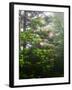 Great Smoky Mountains National Park, North Carolina, USA-Adam Jones-Framed Premium Photographic Print