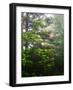 Great Smoky Mountains National Park, North Carolina, USA-Adam Jones-Framed Photographic Print