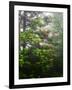 Great Smoky Mountains National Park, North Carolina, USA-Adam Jones-Framed Photographic Print