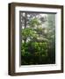 Great Smoky Mountains National Park, North Carolina, USA-Adam Jones-Framed Premium Photographic Print