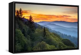 Great Smoky Mountains National Park Scenic Sunrise Landscape at Oconaluftee-daveallenphoto-Framed Stretched Canvas
