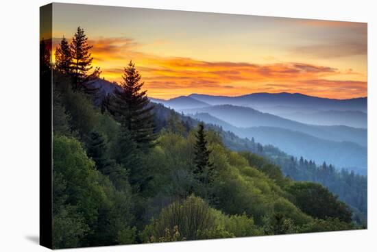 Great Smoky Mountains National Park Scenic Sunrise Landscape at Oconaluftee-daveallenphoto-Stretched Canvas