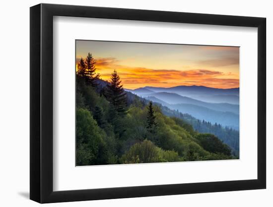 Great Smoky Mountains National Park Scenic Sunrise Landscape at Oconaluftee-daveallenphoto-Framed Premium Photographic Print