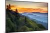 Great Smoky Mountains National Park Scenic Sunrise Landscape at Oconaluftee-daveallenphoto-Mounted Premium Photographic Print