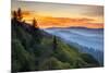 Great Smoky Mountains National Park Scenic Sunrise Landscape at Oconaluftee-daveallenphoto-Mounted Premium Photographic Print