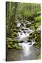 Great Smoky Mountains National Park, Tennessee-Richard and Susan Day-Stretched Canvas