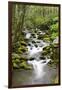 Great Smoky Mountains National Park, Tennessee-Richard and Susan Day-Framed Premium Photographic Print