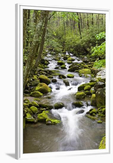 Great Smoky Mountains National Park, Tennessee-Richard and Susan Day-Framed Premium Photographic Print