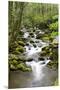 Great Smoky Mountains National Park, Tennessee-Richard and Susan Day-Mounted Premium Photographic Print