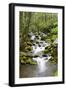 Great Smoky Mountains National Park, Tennessee-Richard and Susan Day-Framed Premium Photographic Print