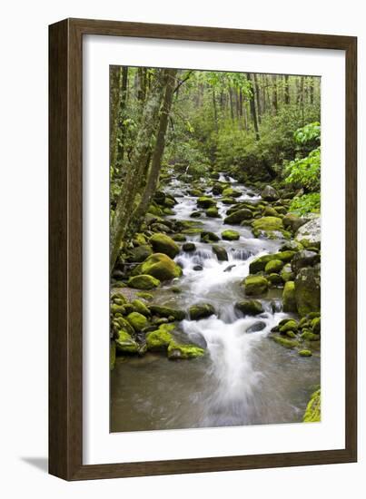 Great Smoky Mountains National Park, Tennessee-Richard and Susan Day-Framed Photographic Print