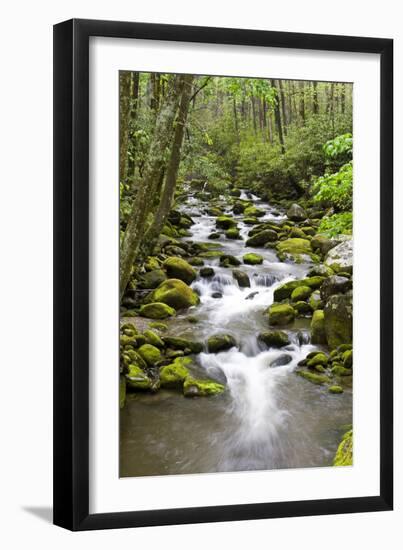 Great Smoky Mountains National Park, Tennessee-Richard and Susan Day-Framed Photographic Print