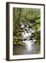 Great Smoky Mountains National Park, Tennessee-Richard and Susan Day-Framed Photographic Print