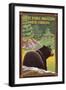 Great Smoky Mountains, North Carolina - Black Bear in Forest-Lantern Press-Framed Art Print