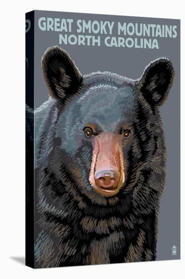 Great Smoky Mountains, North Carolina - Black Bear Up Close-Lantern Press-Stretched Canvas