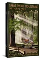 Great Smoky Mountains, North Carolina - Pathway in Trees-Lantern Press-Stretched Canvas