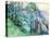 Great Smoky Mountains-Zelda Fitzgerald-Stretched Canvas