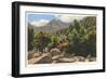 Great Smoky Mountains-null-Framed Art Print