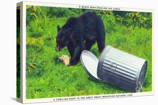 Great Smoky Mts Nat'l Park, TN - Black Bear Stealing Lunch from Trashcan-Lantern Press-Stretched Canvas