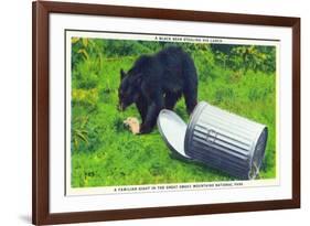 Great Smoky Mts Nat'l Park, TN - Black Bear Stealing Lunch from Trashcan-Lantern Press-Framed Art Print