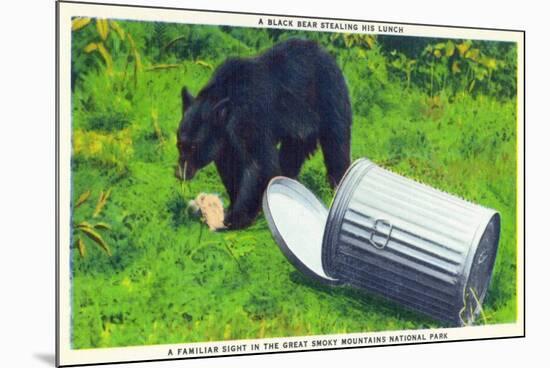 Great Smoky Mts Nat'l Park, TN - Black Bear Stealing Lunch from Trashcan-Lantern Press-Mounted Art Print
