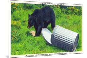 Great Smoky Mts Nat'l Park, TN - Black Bear Stealing Lunch from Trashcan-Lantern Press-Mounted Art Print