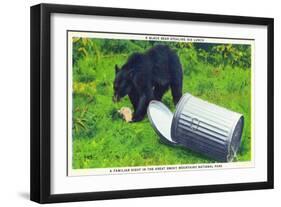 Great Smoky Mts Nat'l Park, TN - Black Bear Stealing Lunch from Trashcan-Lantern Press-Framed Art Print