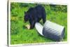 Great Smoky Mts Nat'l Park, TN - Black Bear Stealing Lunch from Trashcan-Lantern Press-Stretched Canvas